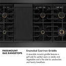 ZLINE 48-Inch Paramount Gas Rangetop with 8 Brass Burners and Porcelain Cooktop in Black Satin Stainless Steel (SRTBS-BR-48)