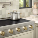 ZLINE Autograph Edition 36 in. Paramount Induction Rangetop with 5 Element Cooktop in Satin Stainless Steel and Champagne Bronze Accents (SINRTSZ-36-CB)