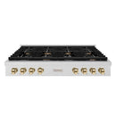 ZLINE Autograph Edition 48-Inch Paramount Gas Rangetop with 8 Burners and Porcelain Cooktop in Satin Stainless Steel with Polished Gold Accents (SRTSZ-48-G)