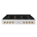 ZLINE Autograph Edition 48-Inch Paramount Gas Rangetop with 8 Burners and Porcelain Cooktop in Stainless Steel with Polished Gold Accents (SRTZ-48-G)