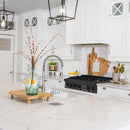 ZLINE 36-Inch Porcelain Gas Stovetop in Black Stainless Steel with 6 Gas Brass Burners (RTB-BR-36)