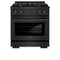 ZLINE 30-Inch Paramount Gas Range with 4.2 cu. ft. Convection Gas Oven in Black Stainless Steel with 4 Brass Burners (SGRB-BR-30)