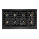 ZLINE 48-Inch 6.7 Cu. Ft. Paramount Dual Fuel Range with 8 Burner DuoPro™ Cooktop and Dual Ovens in Black Satin Stainless Steel (PSDRBS-48)
