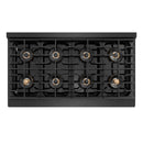 ZLINE Designer 48-Inch 6.7 Cu. Ft. Dual Fuel Range with 8 Burner DuoPro Cooktop in Black Satin with Black and Champagne Accents (PSDRBSZ-48-MBCB)