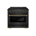 ZLINE Designer 36-Inch 5.2 Cu. Ft. Dual Fuel Range with 6 Burner DuoPro Cooktop in Black Satin with Black and Champagne Accents (PSDRBSZ-36-MBCB)