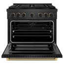 ZLINE Designer 36-Inch 5.2 Cu. Ft. Dual Fuel Range with 6 Burner DuoPro Cooktop in Black Satin with Black and Champagne Accents (PSDRBSZ-36-MBCB)