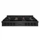 ZLINE 48-Inch Paramount Gas Rangetop with 8 Brass Burners and Porcelain Cooktop in Black Satin Stainless Steel (SRTBS-BR-48)