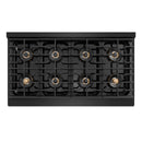 ZLINE Autograph 48-Inch Paramount DuoPro Dual Fuel Range in Black Stainless Steel with Champagne Helix Handles (PSDRBZ-48-KCB)