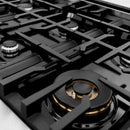 ZLINE 36-Inch Porcelain Gas Stovetop in Satin Stainless Steel with 6 Gas Burners (RTS-36)