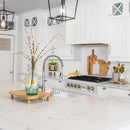 ZLINE Autograph Edition 36-Inch Porcelain Rangetop with 6 Gas Burners in Satin Stainless Steel and Champagne Bronze Accents (RTSZ-36-CB)