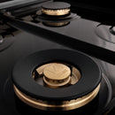 ZLINE Legacy Series Autograph Edition 60-inch Dual Fuel Range with Gas Stove and 7.4 Cu. Ft. Electric Oven in Fingerprint Resistant Satin Stainless Steel with Champagne Bronze Accents (RASZ-SN-60-CB)
