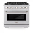ZLINE 36-Inch 5.2 cu. ft. Paramount Dual Fuel Range with Gas Cooktop and Electric Convection Oven in Satin Stainless Steel with 6 Brass Burners (SDRS-BR-36)