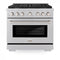 ZLINE 36-Inch 5.2 cu. ft. Paramount Dual Fuel Range with Gas Cooktop and Electric Convection Oven in DuraSnow Stainless Steel with 6 Brass Burners (SDRS-BR-36)