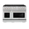 ZLINE 48-Inch 6.7 cu. ft. Paramount Double Oven Dual Fuel Range in DuraSnow Stainless Steel with 8 Brass Burners (SDRS-BR-48)