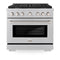 ZLINE 36-Inch Paramount Gas Range with 5.2 cu. ft. Convection Gas Oven in DuraSnow Stainless Steel with 6 Brass Burners (SGRS-BR-36)