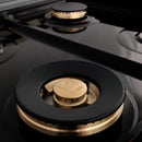 ZLINE 48-Inch Porcelain Rangetop In Satin Stainless Steel With 7 Brass Burners (RTS-BR-48)
