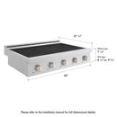 ZLINE 36 in. Paramount Induction Rangetop with 5 Element Cooktop in Stainless Steel (SINRT36)