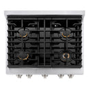 ZLINE 30-Inch 4.2 cu. ft. Paramount Dual Fuel Range with Gas Cooktop and Electric Convection Oven in Stainless Steel with 4 Brass Burners (SDR-BR-30)