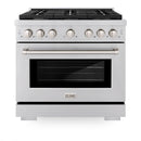 ZLINE 36-Inch 5.2 cu. ft. Paramount Dual Fuel Range with Gas Cooktop and Electric Convection Oven in Stainless Steel with 6 Brass Burners (SDR-BR-36)