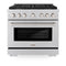 ZLINE 36-Inch 5.2 cu. ft. Paramount Gas Range with Convection Gas Oven in Stainless Steel with 6 Brass Burners (SGR-BR-36)