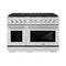 ZLINE 48-Inch 6.7 cu. ft. Paramount Gas Range with 8 Burner DuoPro™ Cooktop and Dual Ovens in Stainless Steel (PSGR48)
