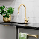 ZLINE Rubicon Pull Down Single Handle Kitchen Faucet in Champagne Bronze (RBCN1-KF-CB)