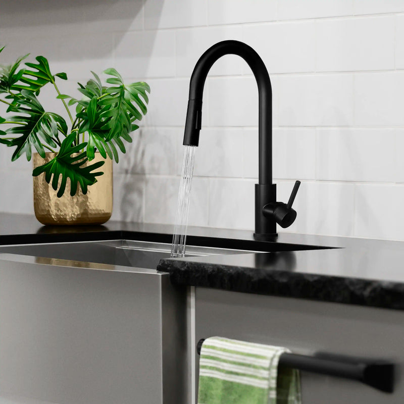 ZLINE Palisades Pull Down Single Handle Kitchen Faucet in Matte Black (RBCN1-KF-MB)