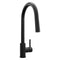 ZLINE Rubicon Pull Down Single Handle Kitchen Faucet in Matte Black (RBCN1-KF-MB)
