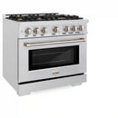 ZLINE 36-Inch Select Series Dual Fuel Range with 6 Gas Burner Cooktop and 5.2 Cu. Ft. Electric Convection Oven in DuraSnow Stainless Steel with Brass Burners (HDRS-BR-36)