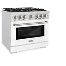 ZLINE 36-Inch Select Series Dual Fuel Range with 6 Gas Burner Cooktop and 5.2 Cu. Ft. Electric Convection Oven in Satin Stainless Steel with White Matte Door (HDRS-WM-36)