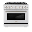 ZLINE 36-Inch Select Series Gas Range with 6 Burner Cooktop and 5.2 Cu. Ft. Gas Convection Gas Oven in Satin Stainless Steel with Brass Burners (HGRS-BR-36)