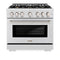 ZLINE 36-Inch Select Series Gas Range with 6 Burner Cooktop and 5.2 Cu. Ft. Gas Convection Gas Oven in DuraSnow Stainless Steel with Brass Burners (HGRS-BR-36)