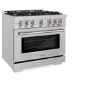 ZLINE 36-Inch Select Series Dual Fuel Range with 6 Gas Burner Cooktop and 5.2 Cu. Ft. Electric Convection  in Stainless Steel (HDR36)