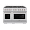 ZLINE 48-Inch Select Series Dual Fuel Range with 8 Gas Burner Cooktop and 6.7 Cu. Ft. Electric Convection Oven in Stainless Steel (HDR48)