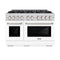 ZLINE 48-Inch Select Series Dual Fuel Range with 8 Gas Burner Cooktop and 6.7 Cu. Ft. Electric Convection Oven in Stainless Steel with White Matte Doors (HDR-WM-48)