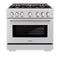 ZLINE 36-Inch Select Series Gas Range with 6 Gas Burner Cooktop and 5.2 Cu. Ft. Gas Convection Gas Oven in Stainless Steel with Brass Burners (HGR-BR-36)