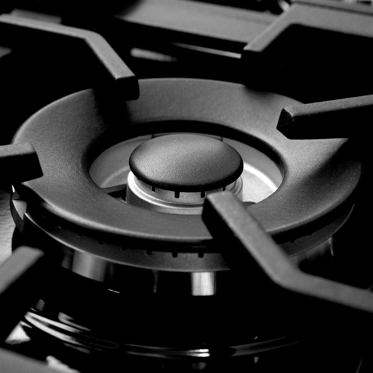 Stainless dual fuel range burner with black cap and silver burner ring