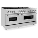 Stainless steel dual fuel range, front three-quarter view