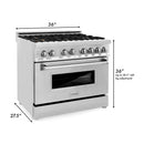 ZLINE 36-inch Legacy Series Dual Fuel Range with 6 Gas Brass Burners, Griddle, and 4.6 Cu. Ft. Electric Oven in Stainless Steel (RA-BR-GR-36)