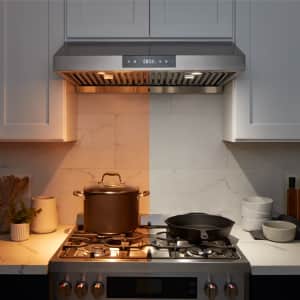Best 30 inch ducted range hood on sale