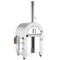 Empava Outdoor Wood Fired Pizza Oven in Stainless Steel (EMPV-PG01)