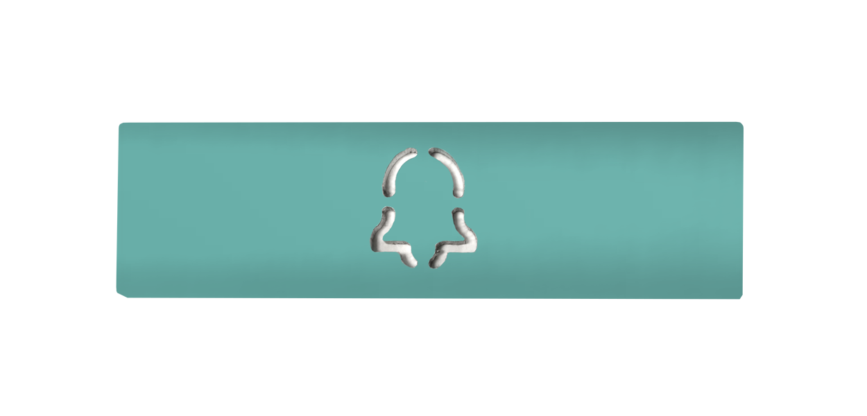 Light green engraved nameplate with call-button icon for DoorBird D21X