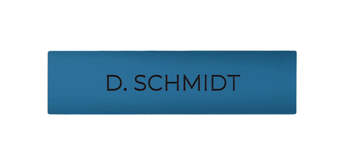Light blue DoorBird nameplate with engraved “D. SCHMIDT”