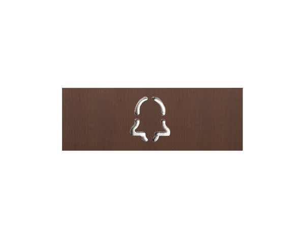Architectural bronze engraved DoorBird nameplate with raised logo emblem