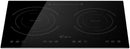 Empava 21-Inch 2 Burners Induction Cooktop in Black (EMPV-IDC12B2)