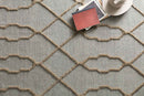 Loloi Adler Collection - Transitional Hand Woven Rug in Slate (AW-03)