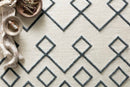 Loloi Adler Collection - Transitional Hand Woven Rug in Ivory (AW-04)
