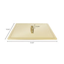 ZLINE 16-Inch Bliss Shower Head in Polished Gold (BLS-H16-PG)