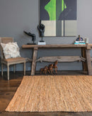 Loloi Edge Collection - Transitional Hand Woven Rug in Tan (ED-01)