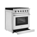 Empava 30-Inch Pro-Style Slide-In Single Oven Gas Range in Stainless Steel (EMPV-30GR10)